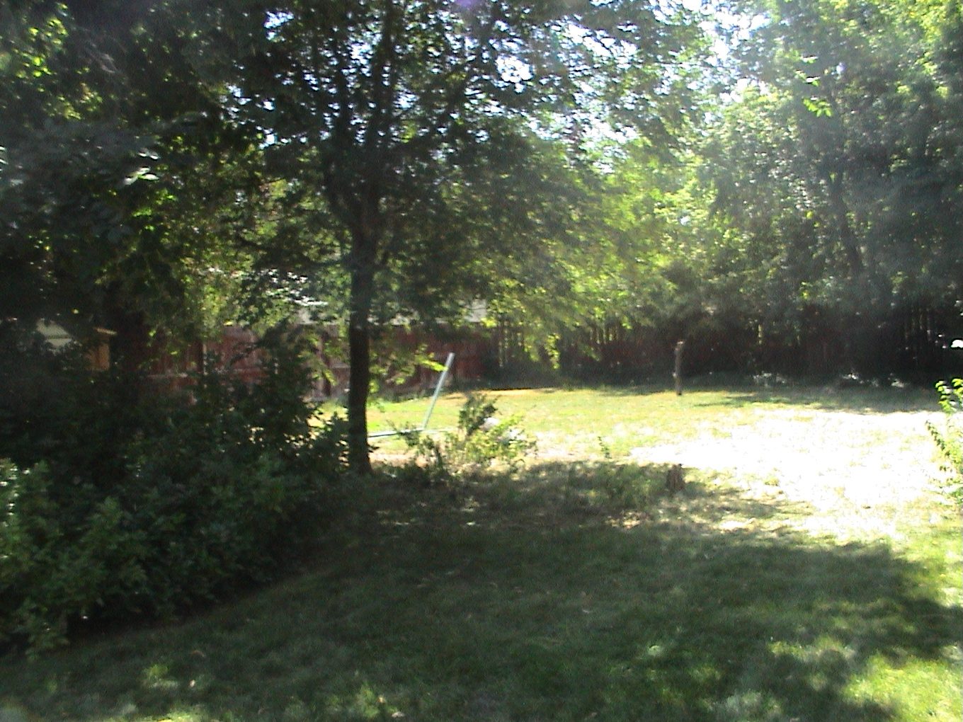 Backyard before renovation, open lawn and mature trees